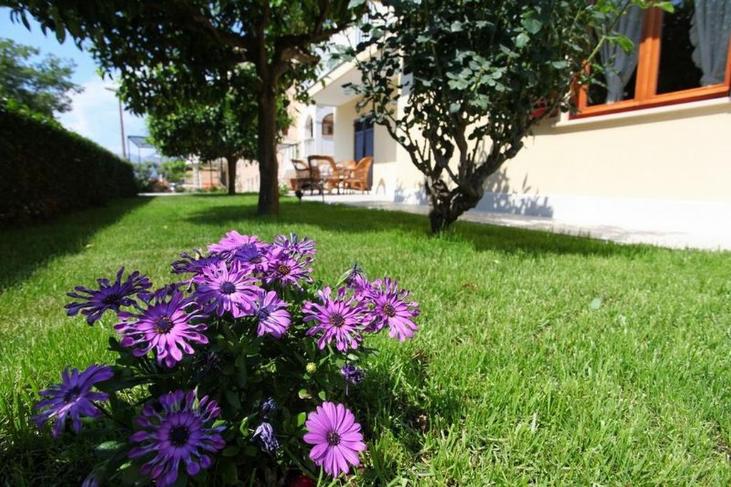 Apartments Antares in Cavtat, outside terrace and garden